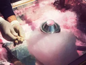 Cotton Candy Shop Business Plan